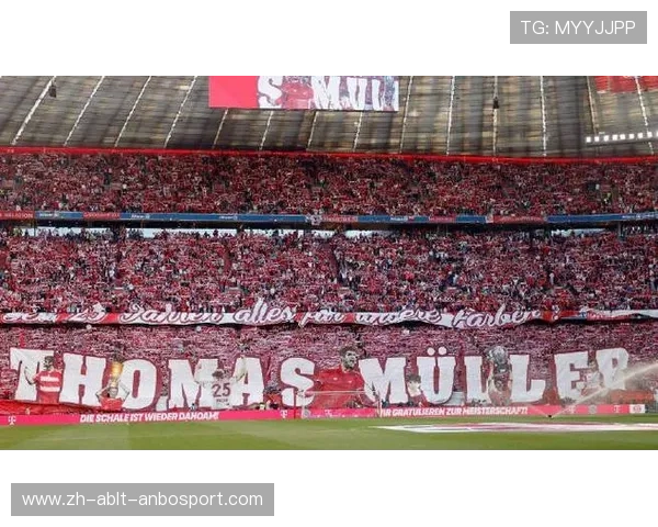 德甲和德乙球队各自使用的主场球场一览